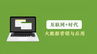 互联网时代下的大数据营销与应用 驱动销售新变革